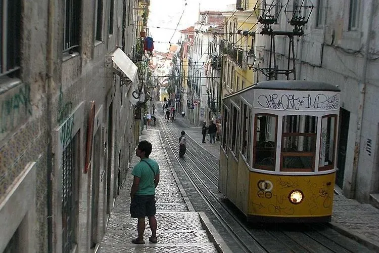 Charming & Modern Flat Close To Time Out Market Lisboa